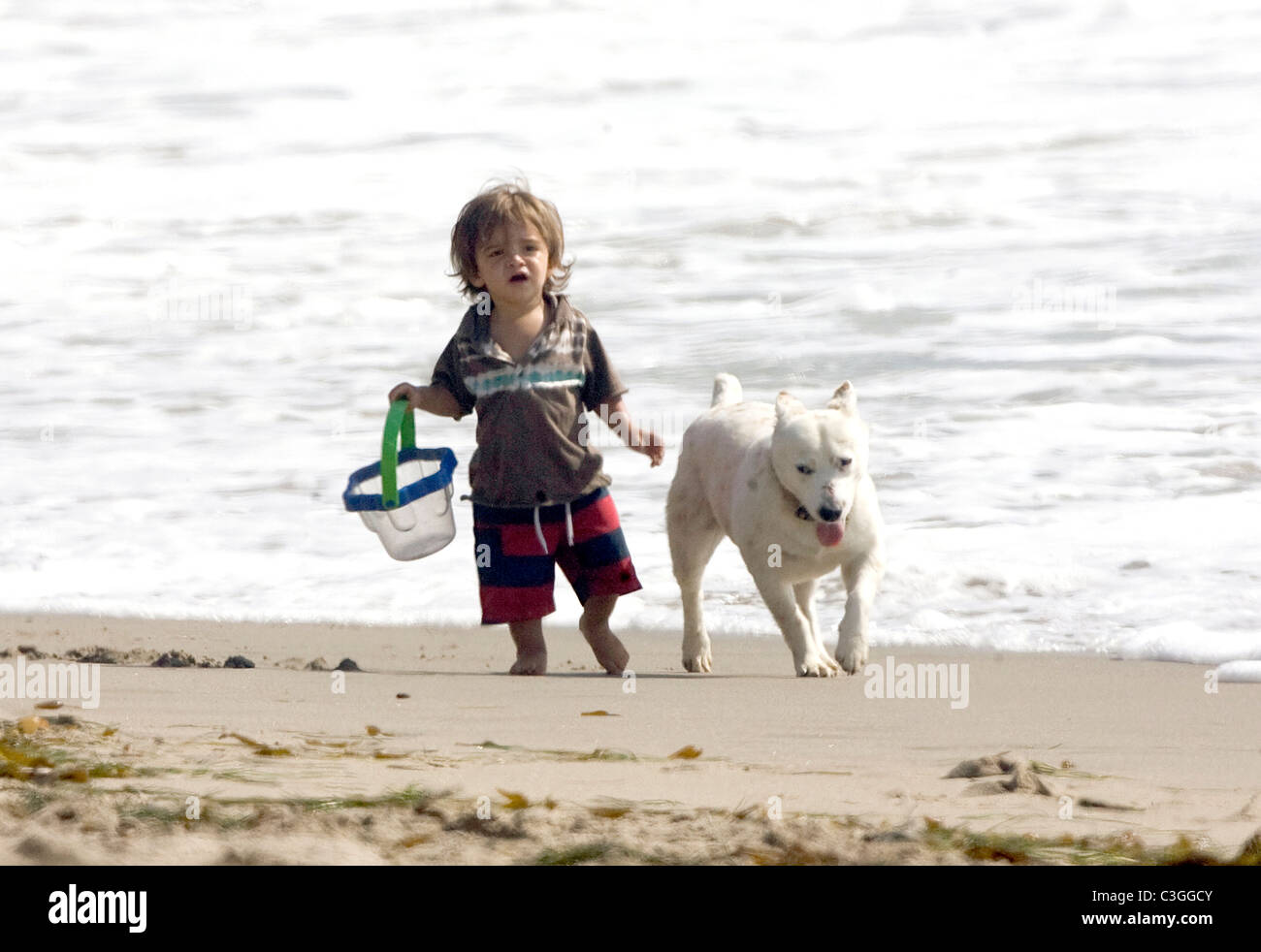 Levi McConaughey plays with his father and his dogs on a beach in