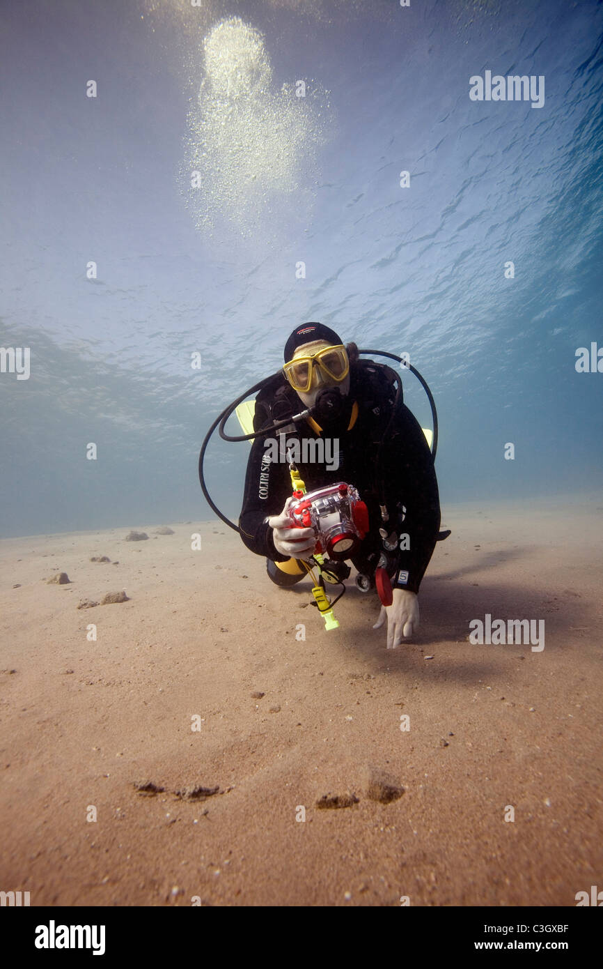 A scuba diver with an underwater camera. Red Sea, Dahab, Egypt Stock Photo