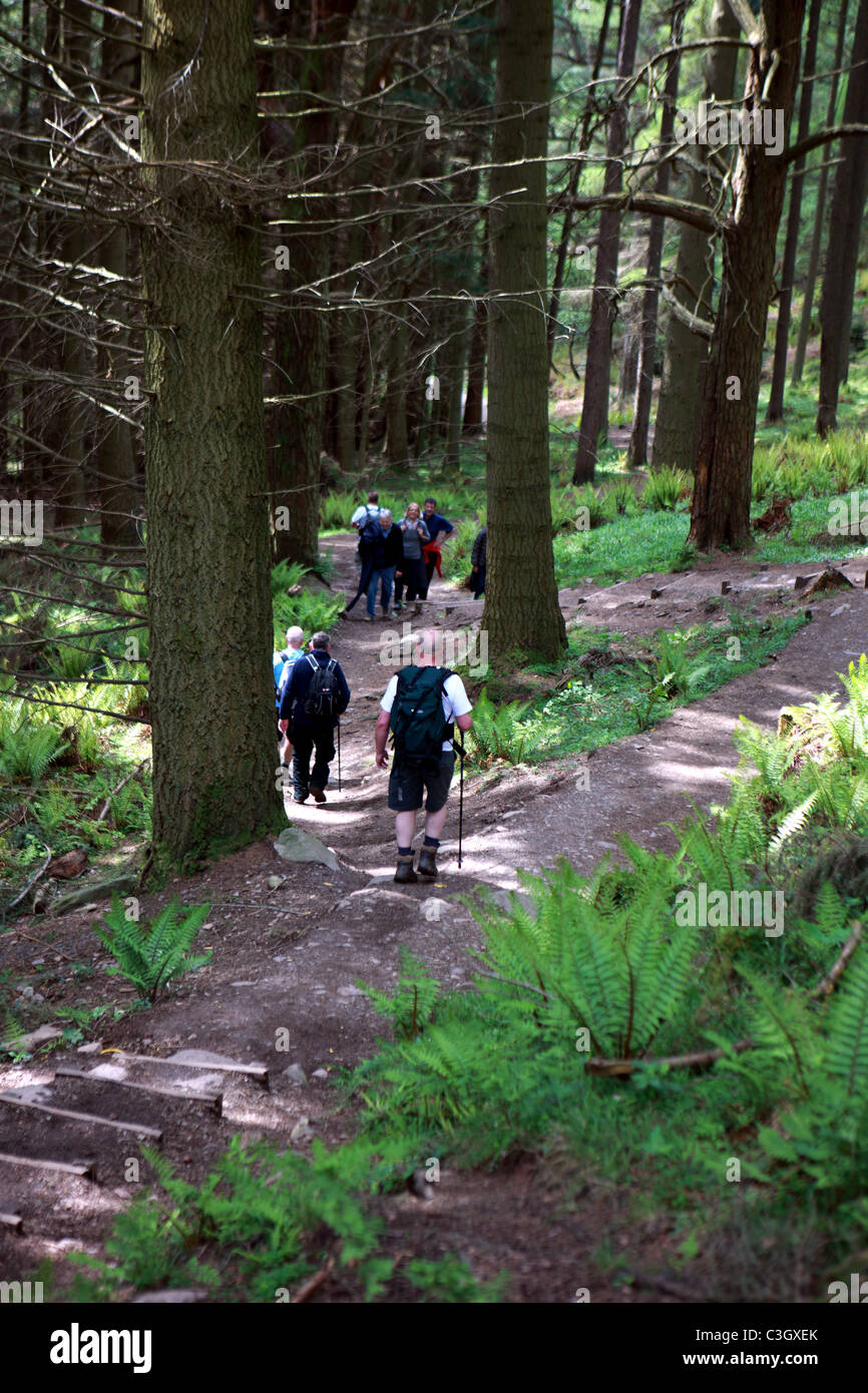 Walkers on a forest path at the start of Conic Hill near Balmaha Stock Photo