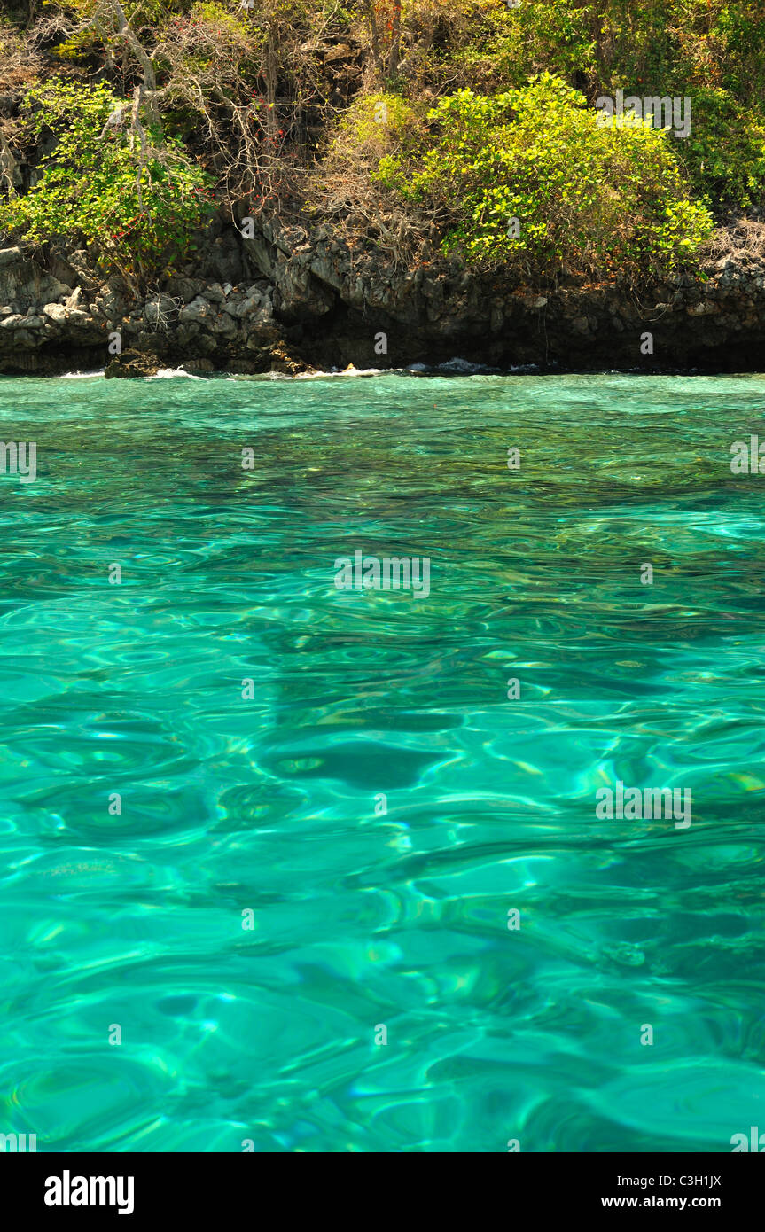 Turquoise sea Stock Photo