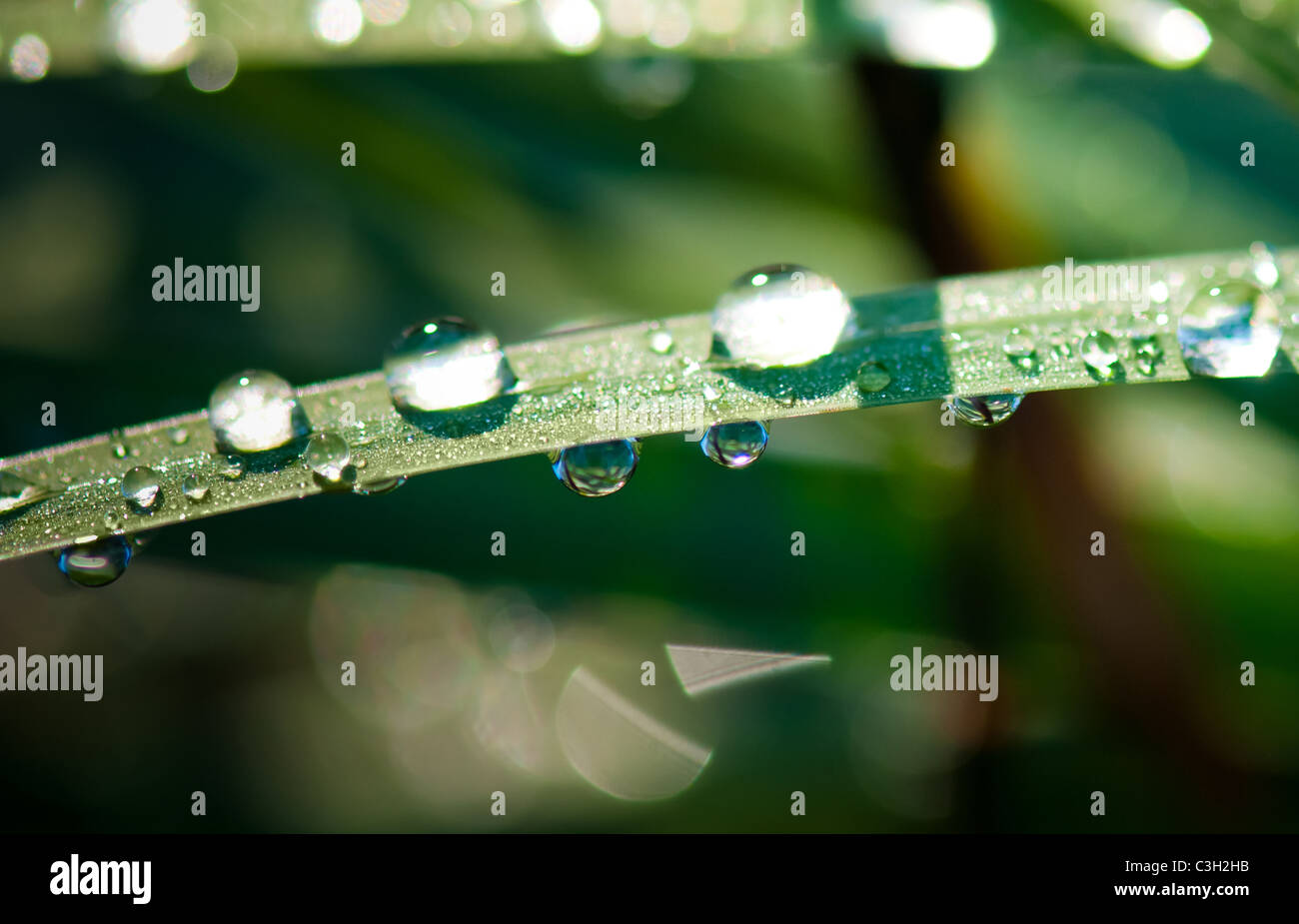 water drop shine Stock Photo - Alamy