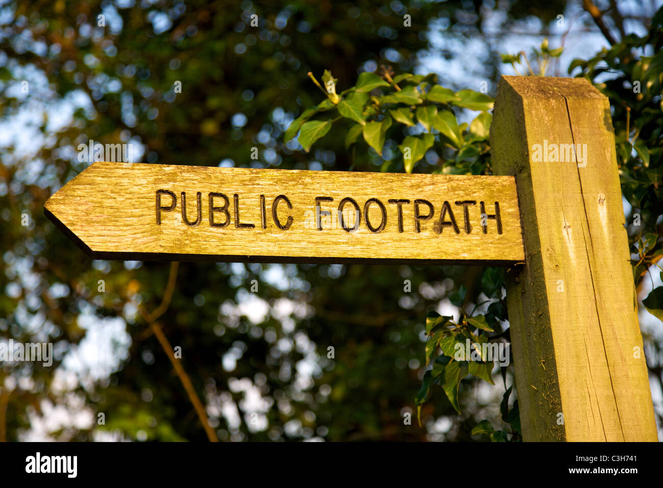 Public Footpath Sign in the shape of a Wooden arrow Stock Photo