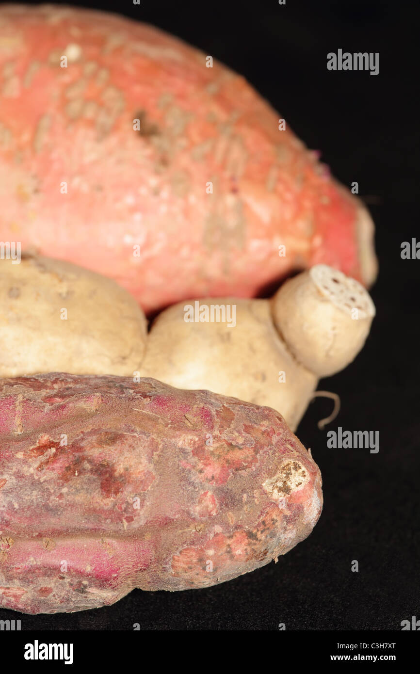 Closeup of Sweet Potatoes Varieties Stock Photo