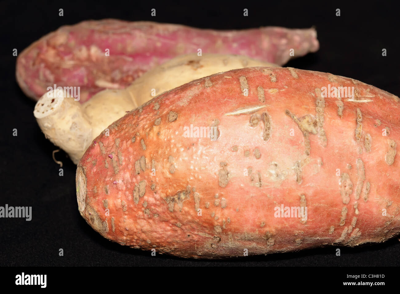 Sweet Potatoes where Some Starts to Grow Stock Photo