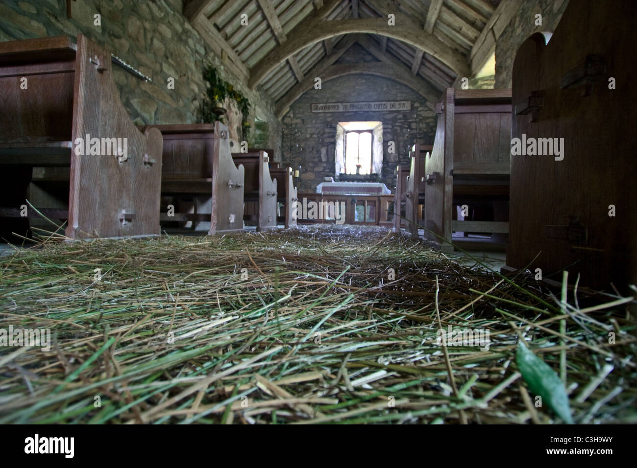 Fragrant rushes layered on the floor of Pistyll Church, Llyn Peninsula