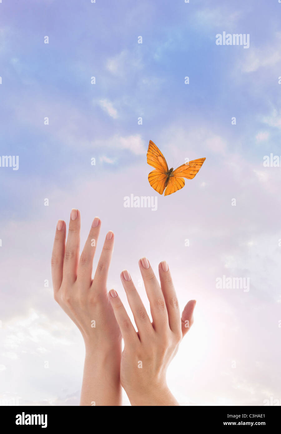 Butterflies Flying Out Of Hands