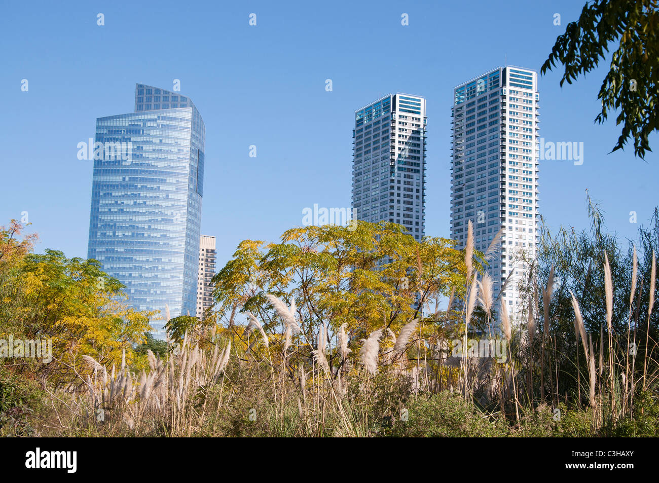 Behind Building Building behind nature Stock Photo - Alamy