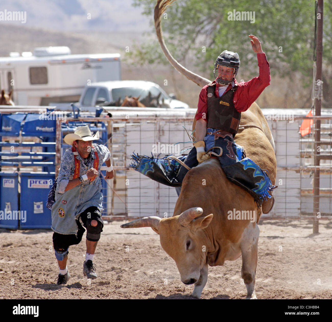 Bull riding competition at he Socorro, New Mexico, annual rodeo Stock