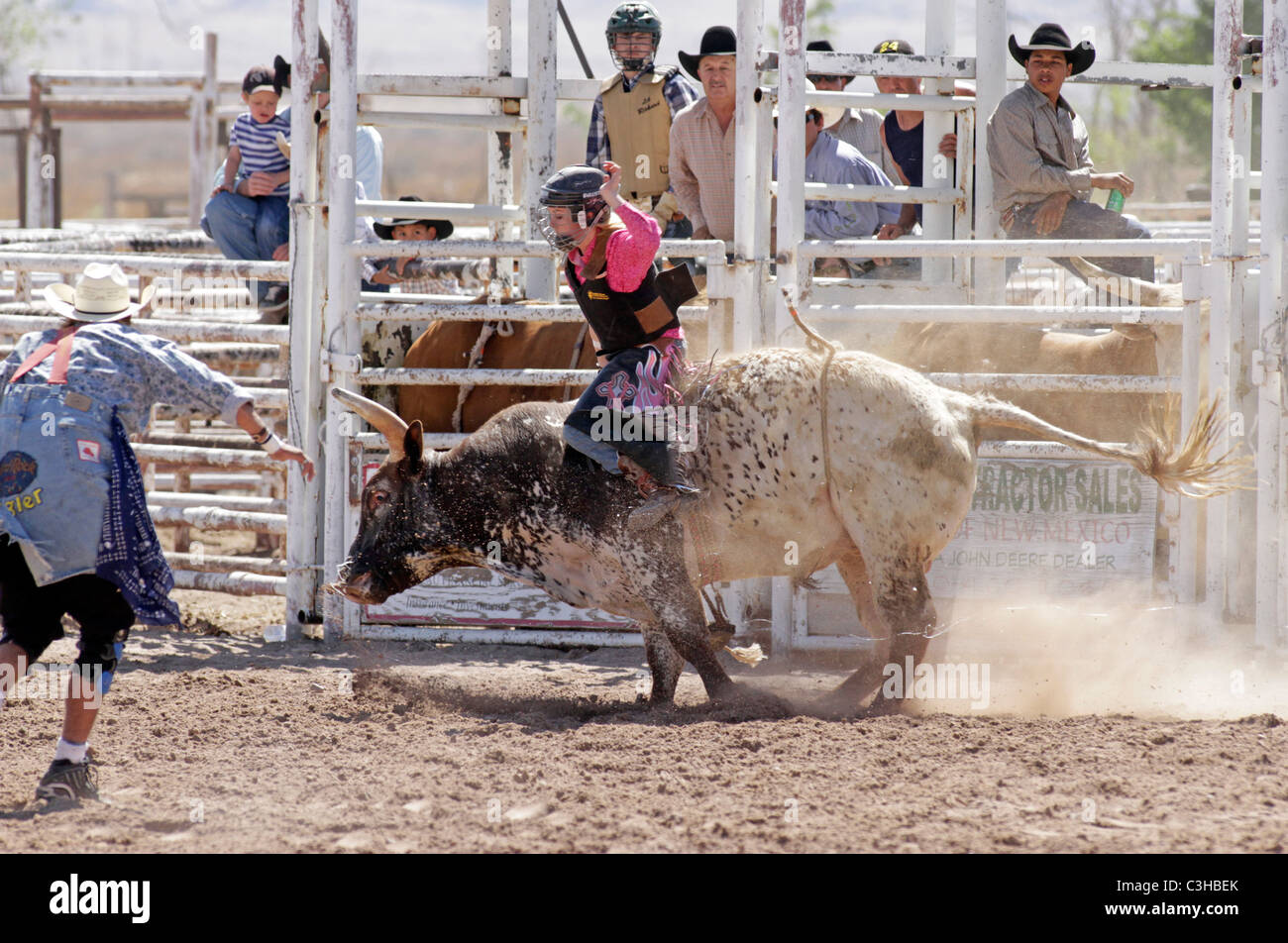 Bull riding competition at he Socorro, New Mexico, annual rodeo Stock