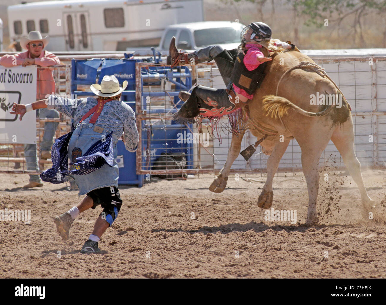 Bull riding competition at he Socorro, New Mexico, annual rodeo Stock