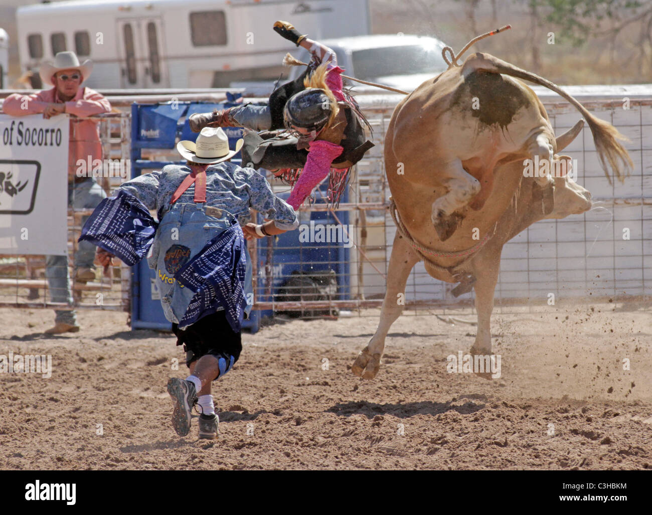 Bull riding competition at he Socorro, New Mexico, annual rodeo Stock