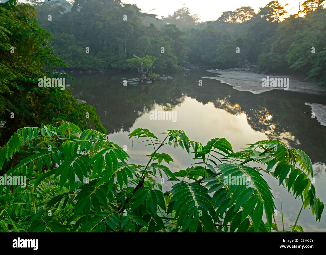 Democratic Republic of Congo in January 2011. Epulu river in Okapi Reserve in Congo Basin/Ituri Forest Stock Photo