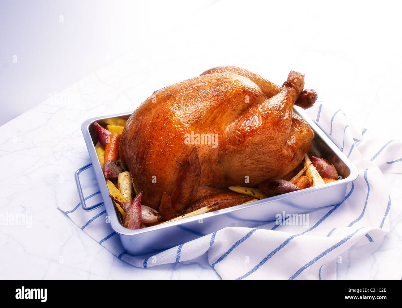 Turkey bird poultry hi-res stock photography and images - Alamy