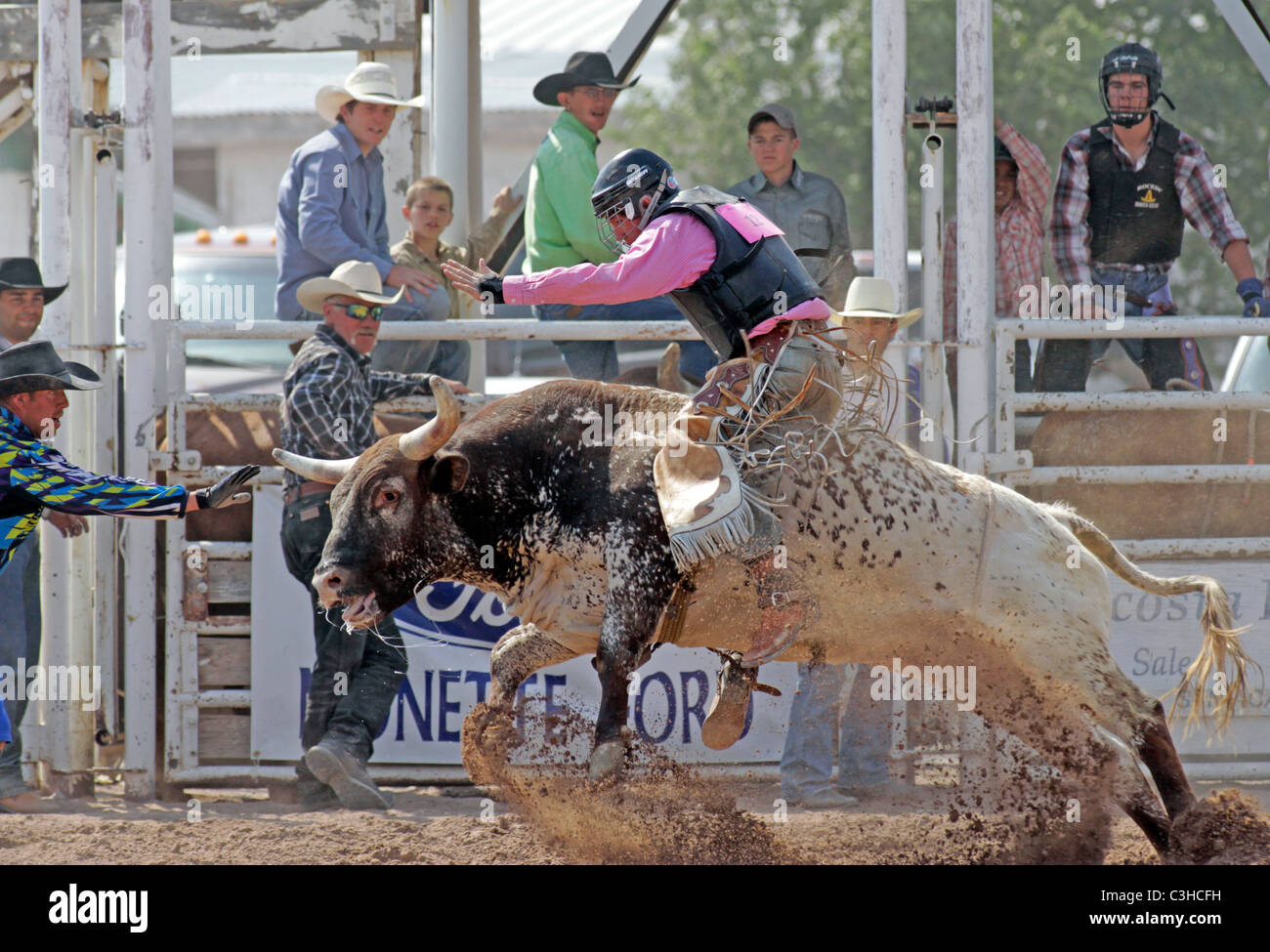 Bull riding competition at he Socorro, New Mexico, annual rodeo Stock