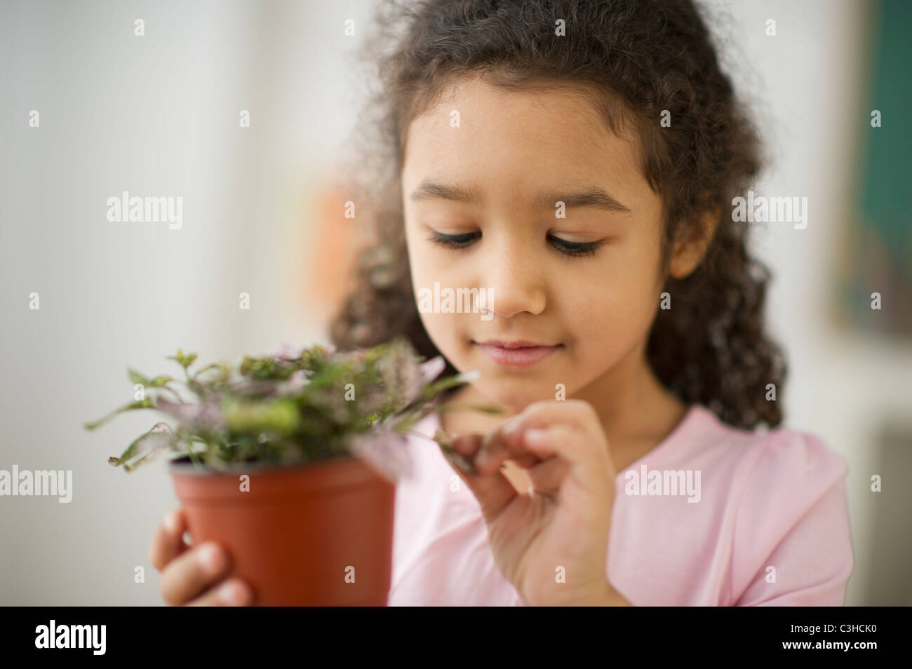 Portrait of girl (6-7) holding potted plant Stock Photo - Alamy