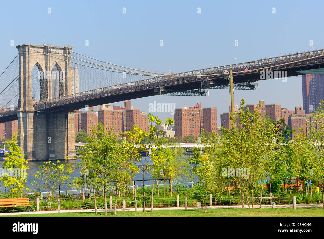 Trees in Brooklyn Bridge Park juxtaposed against the Brooklyn Bridge in New York City. Stock Photo