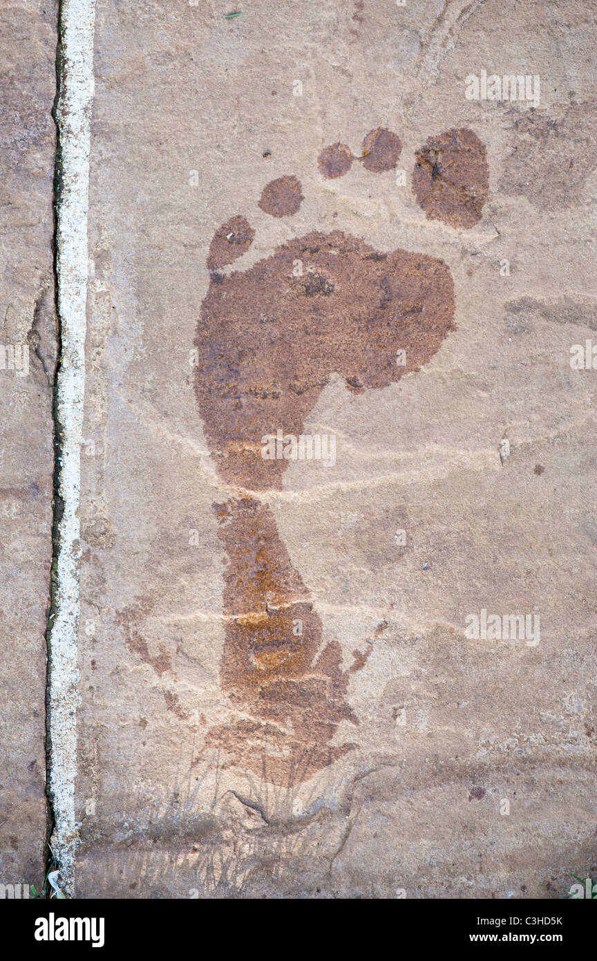 Wet footprint on a paving slab Stock Photo