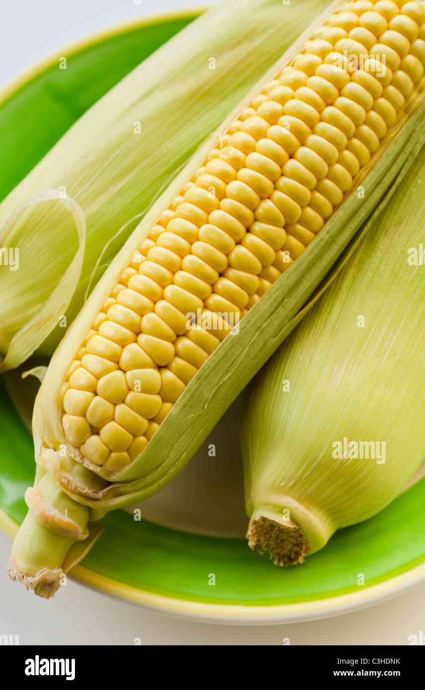 Studio shot of corn on the cob Stock Photo
