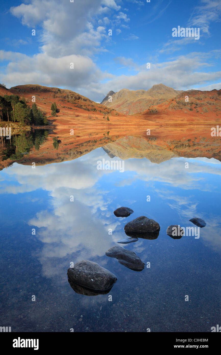 Late Autumn ice lines the rocky shores of Blea Tarn in front of a perfect reflection of Side Pike and the Langdales Stock Photo