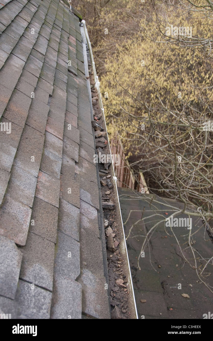 Close up on Roof Gutters Full of Rubble and Dirt, Re Roofing Detail Sheffield, England Stock Photo