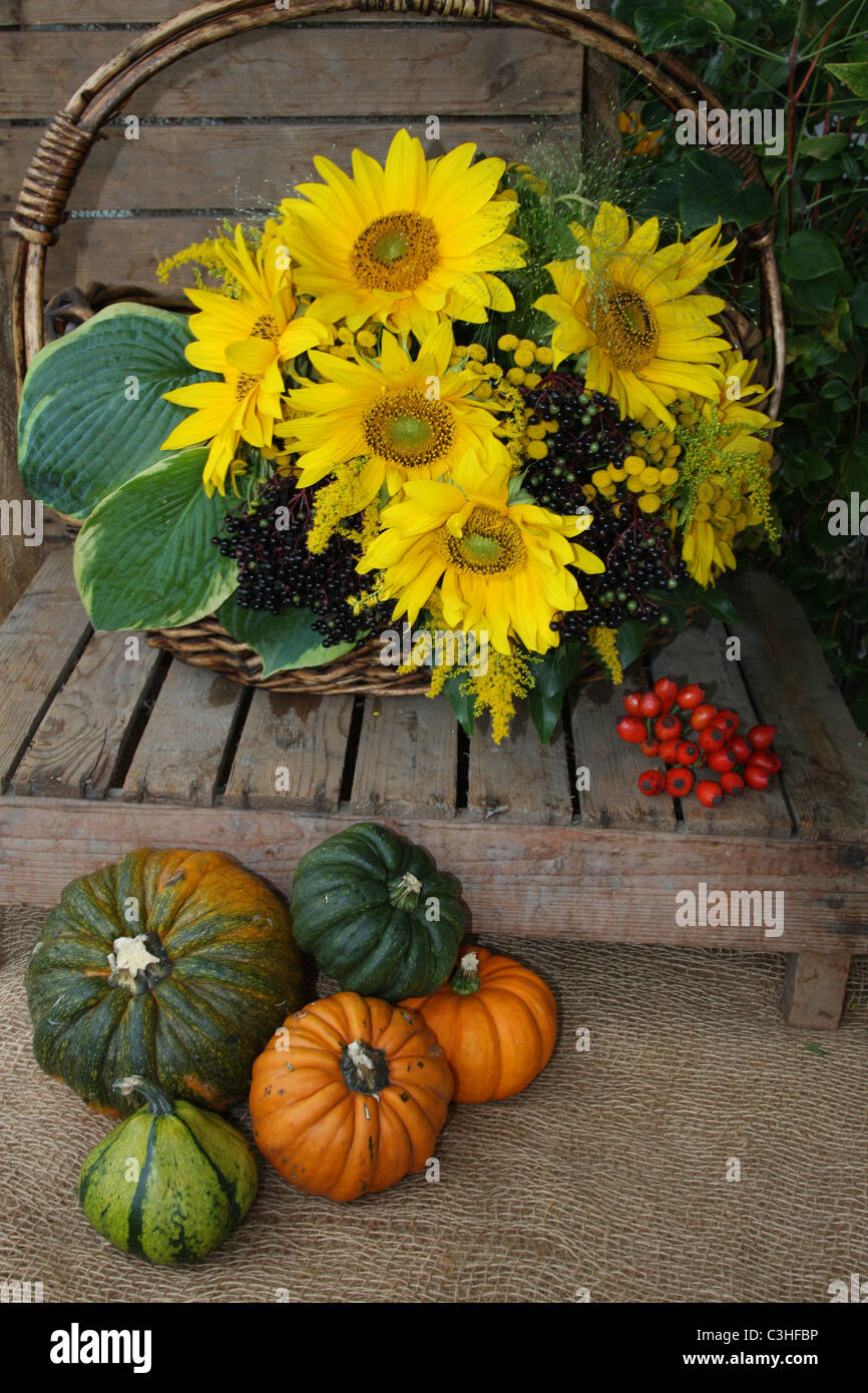 Autumn harvest fruit still with sunflowers and pumpkins Stock Photo