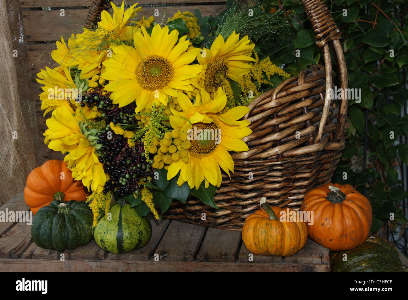 Autumn harvest fruit still with sunflowers and pumpkins Stock Photo
