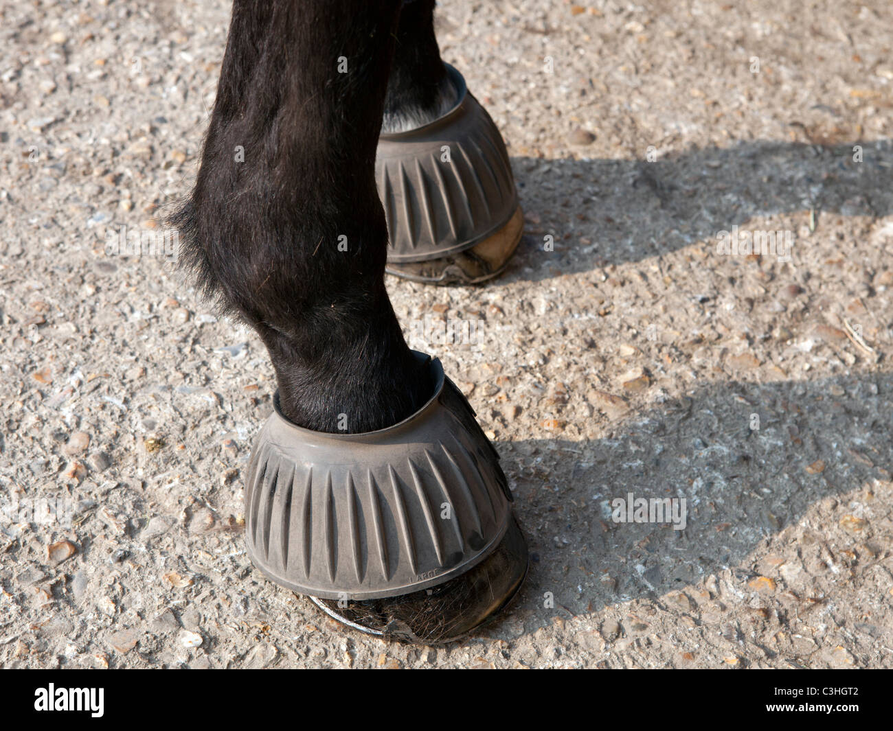Overreach boots horse hires stock photography and images Alamy