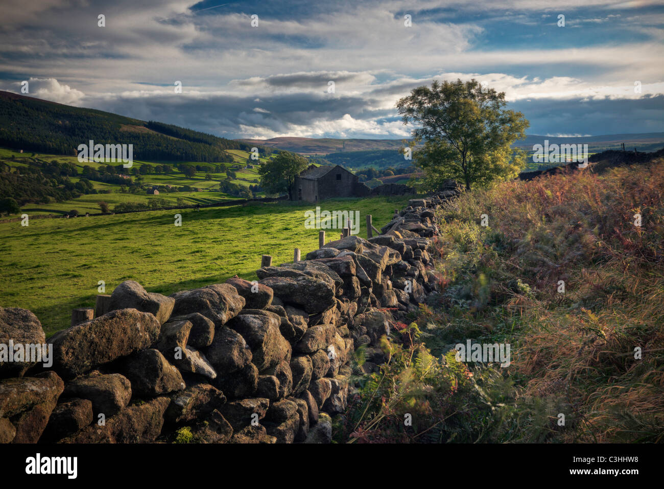 Late summers evening near Howgill in the Yorkshire Dales of England Stock Photo