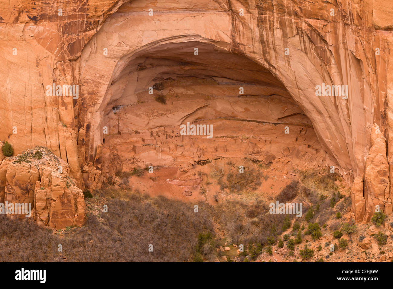Betatakin Ruin, meaning 'House Built on a Ledge' in Navajo, Navajo National Monument, Arizona, USA. Stock Photo