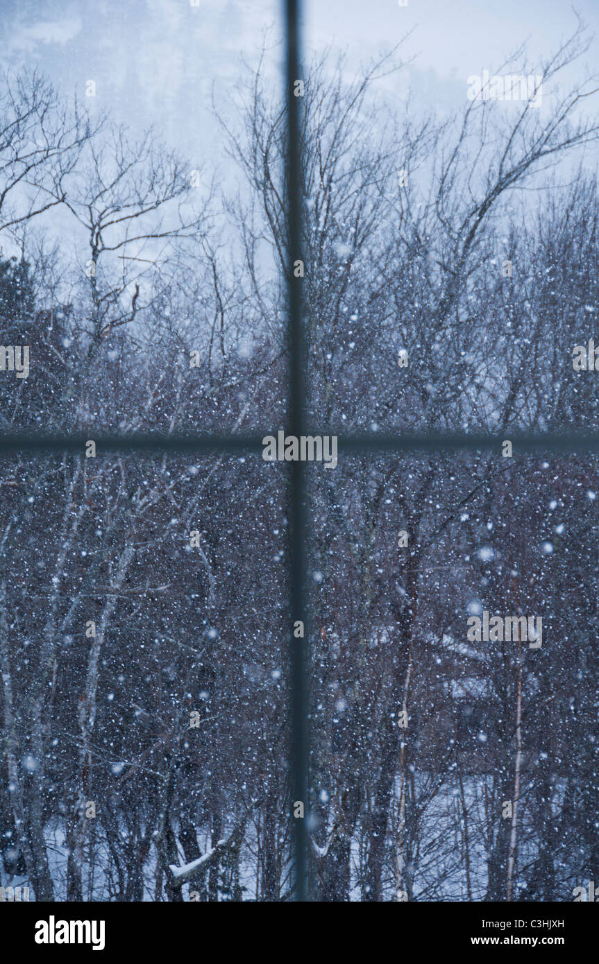 Window overlooking snowy forest Stock Photo - Alamy