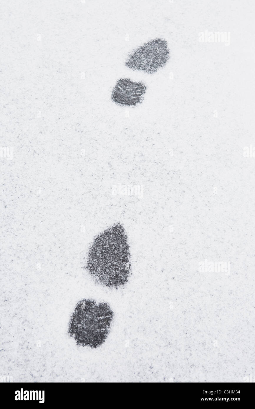 Footprints in snow Stock Photo Alamy