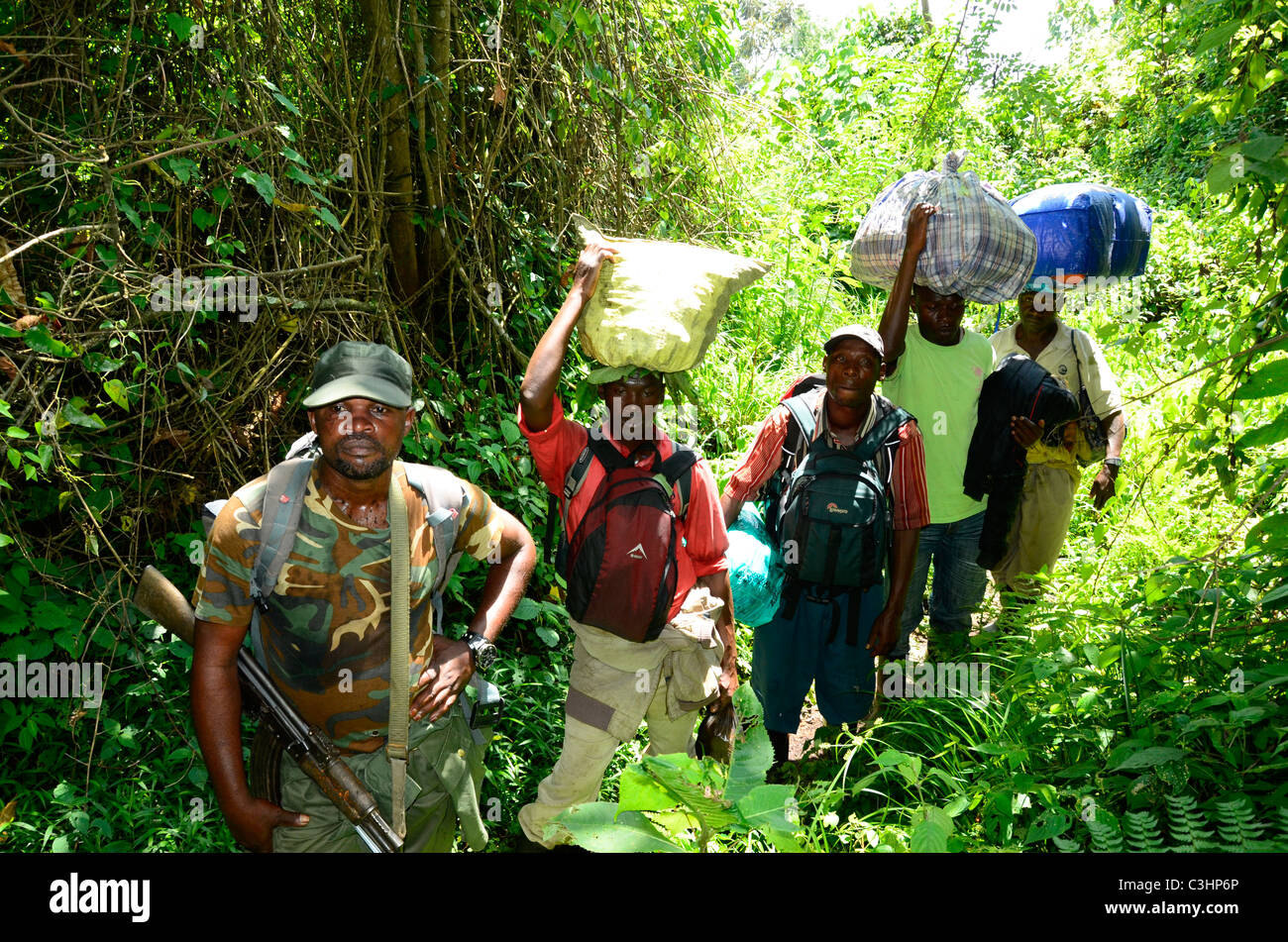 Hiking on Nyiragongo active volcano in the Alpine region of Virunga National Park, eastern Democratic Republic of Congo. Stock Photo