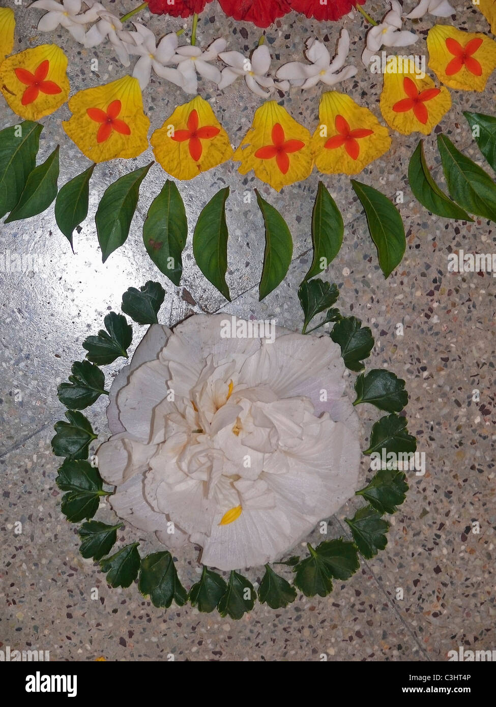 Athapookalam, Flower Design during Onam Festival, Kerala, India ...
