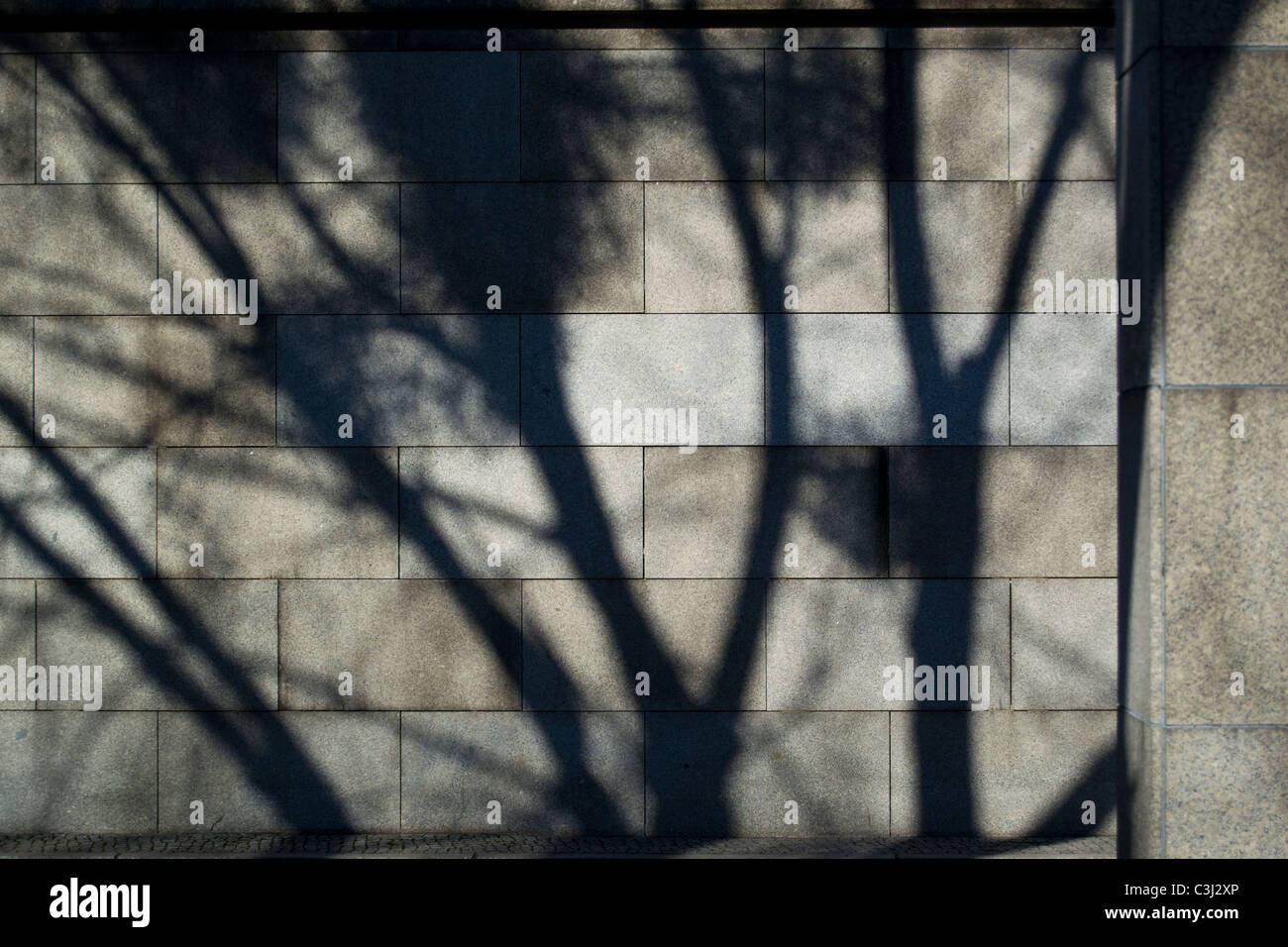 tree shadows on a stone wall Stock Photo - Alamy