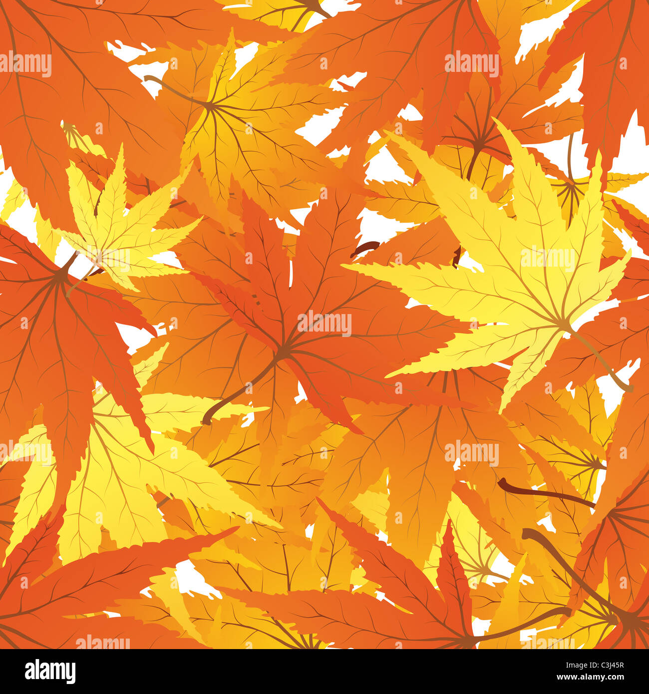Twisted row of autumn maples leaves. Vector illustration Stock Photo ...