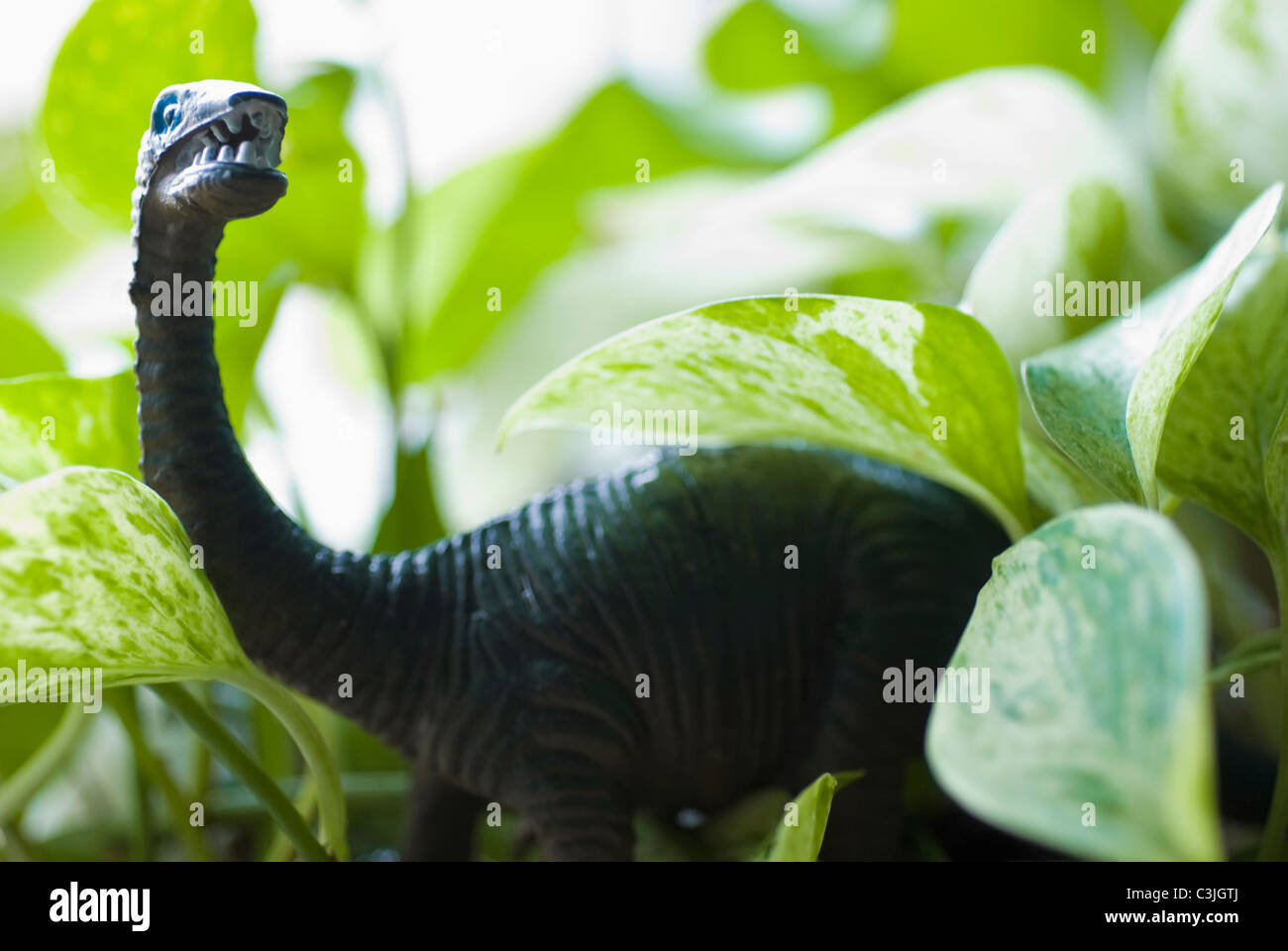 Figurine of dinosaur among leaves Stock Photo - Alamy