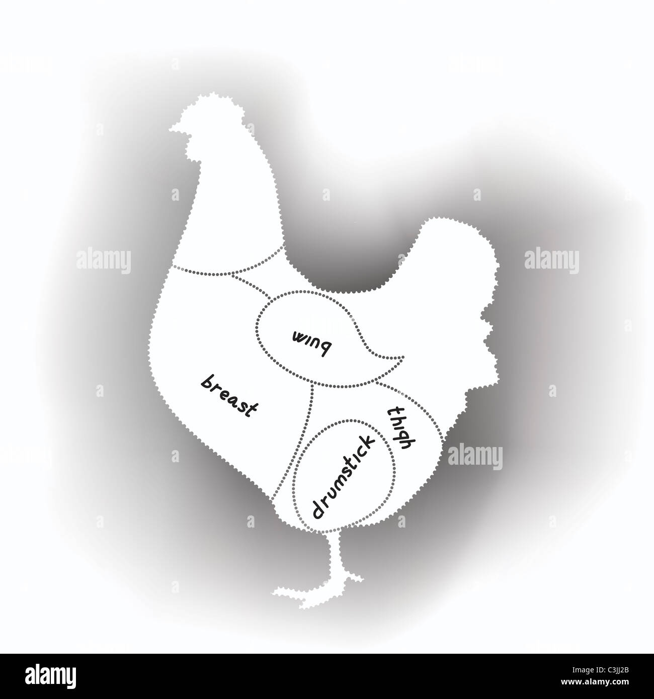 chicken meat diagram Stock Photo