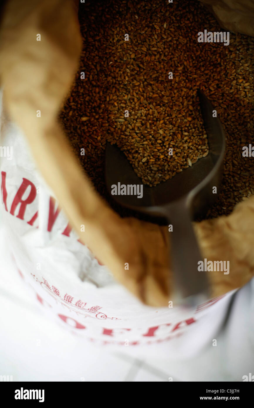 Close up of bag with seeds and shovel Stock Photo Alamy