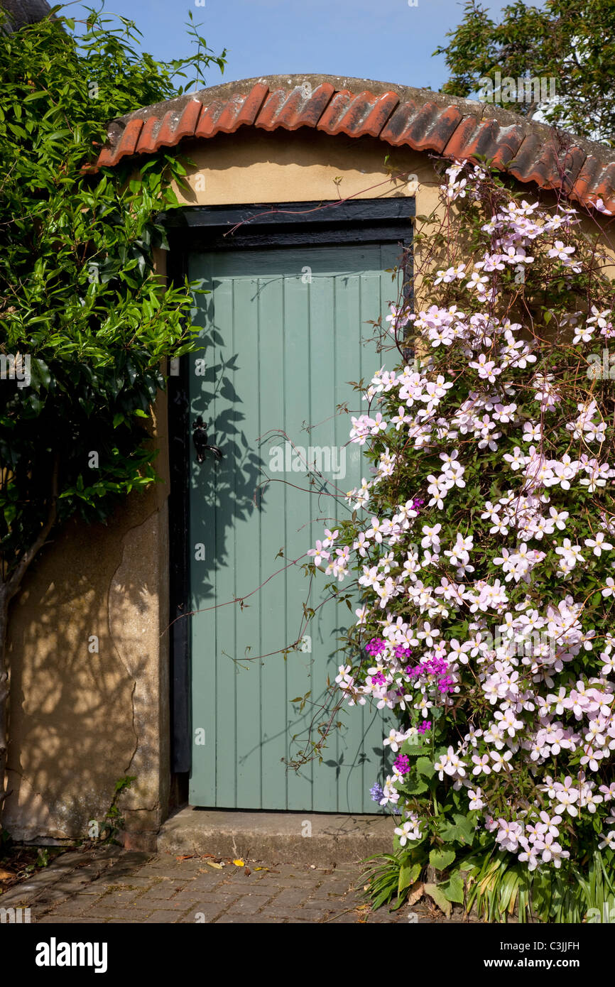 wooden doorway in garden wall capped with roof tiles and covered with climbing clematis Stock Photo