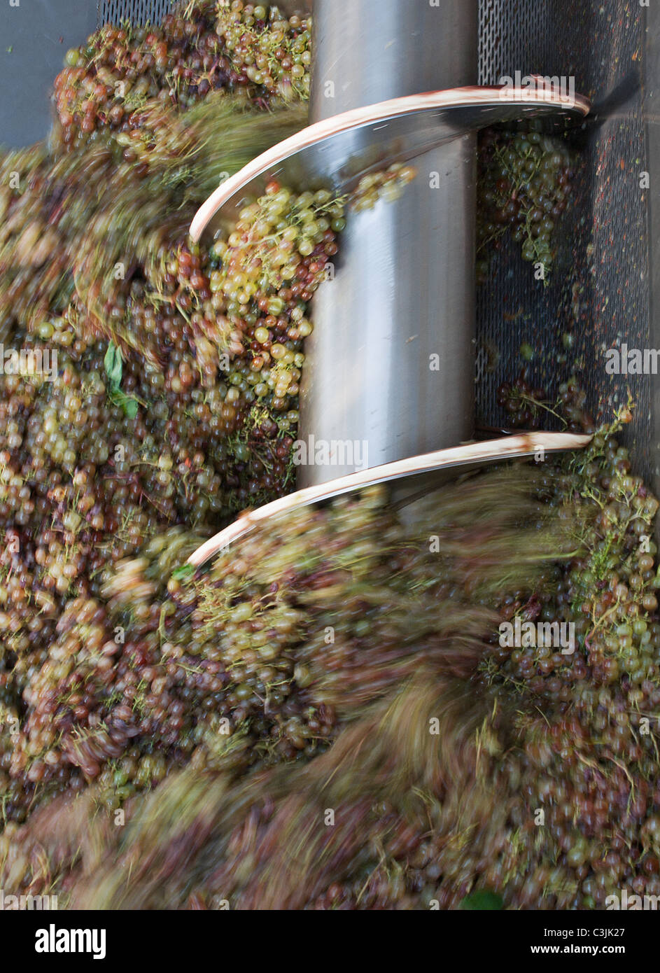 Grape crushing in machinery, blurred motion Stock Photo