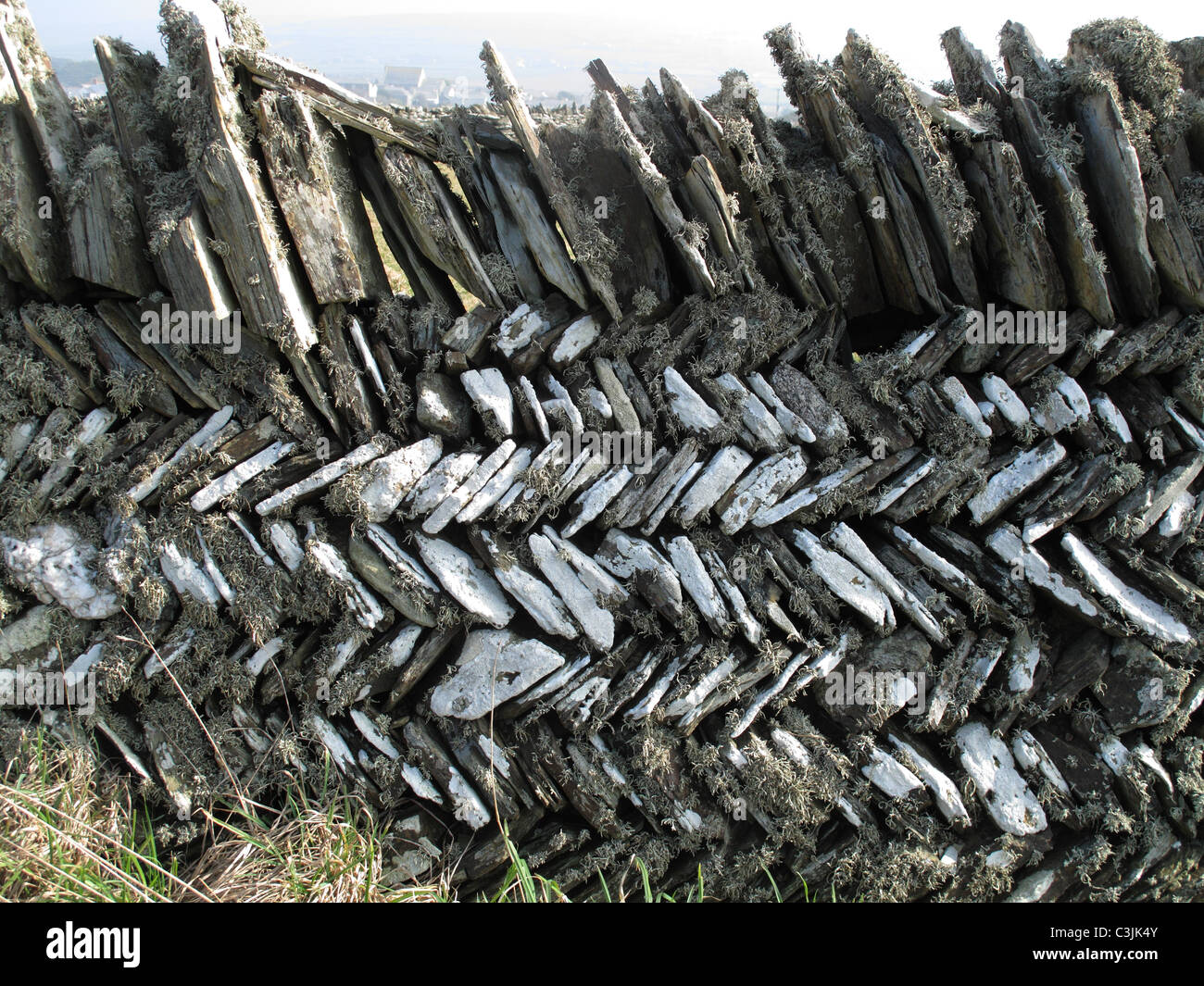 Cornish herring-bone stone wall, Tintagel, Cornwall, March Stock Photo