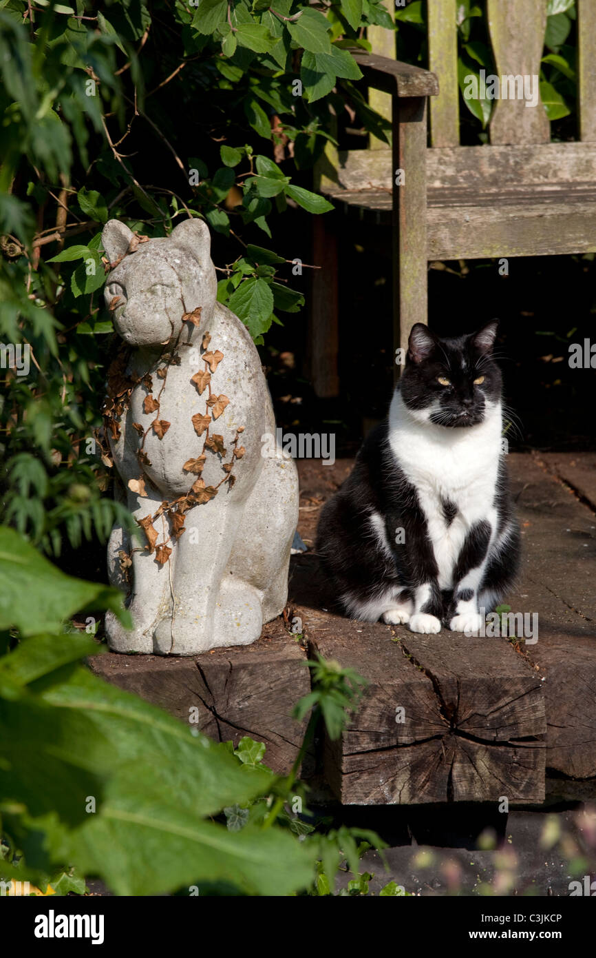 Cat in garden next to stone cat statue on railway sleepers Stock Photo
