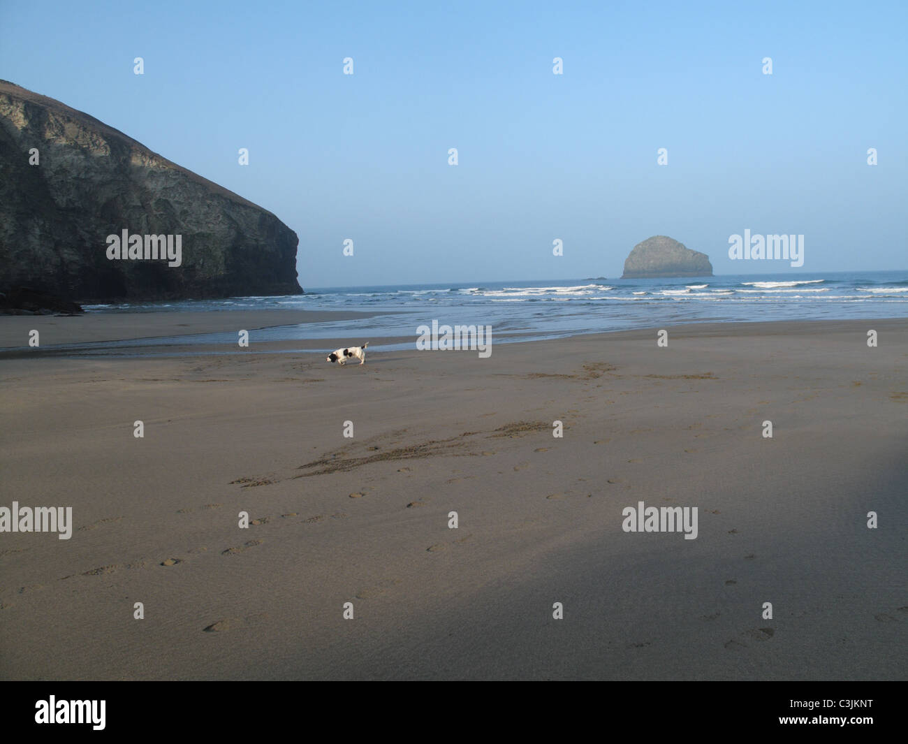 The cove at Trebarwith strand at low tide with Gull rock offshore on a fine spring morning Stock Photo