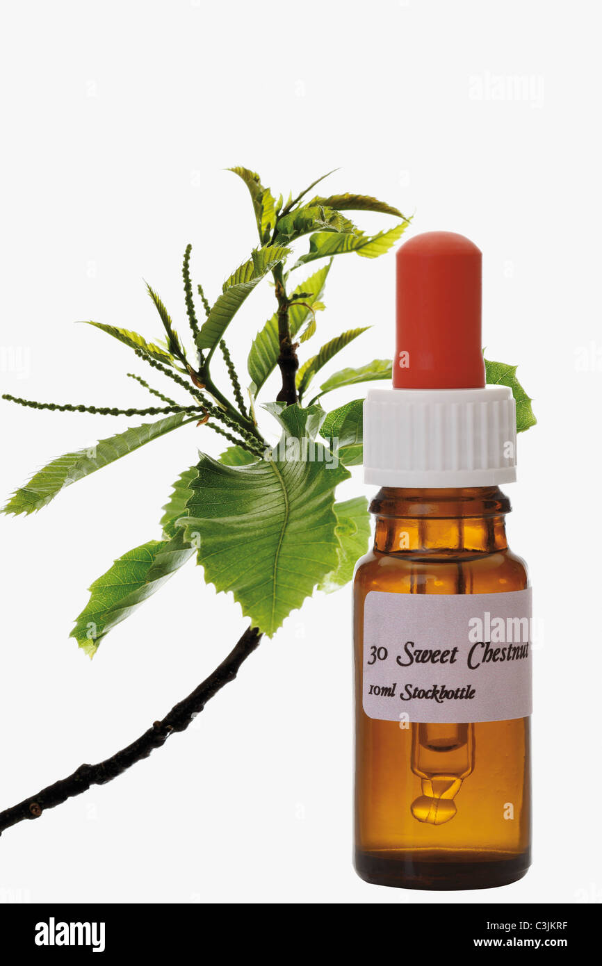 Herbal plant with stockbottle against white background Stock Photo