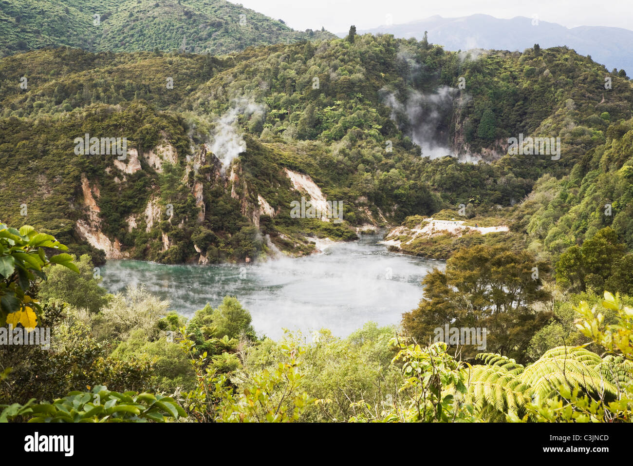 New Zealand, North Island, View of waimangu volcanic valley Stock Photo ...