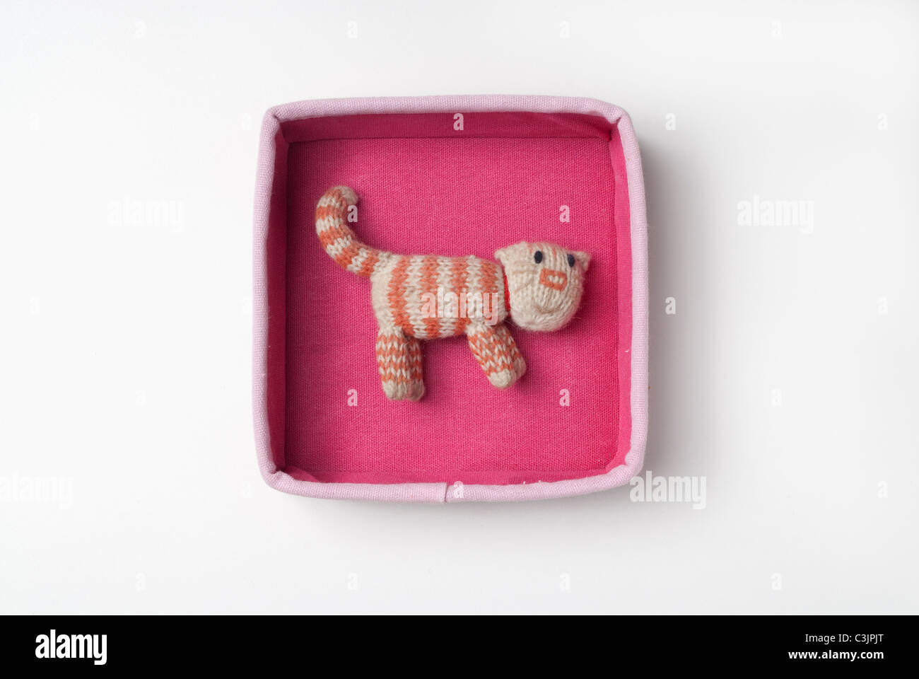 Cat in a pink box Stock Photo