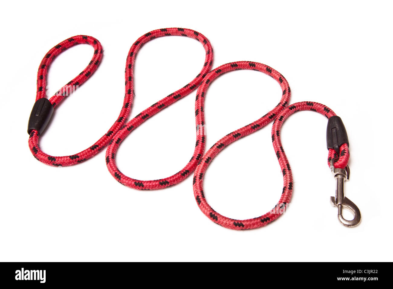 Dog Lead isolated on a white studio background Stock Photo - Alamy