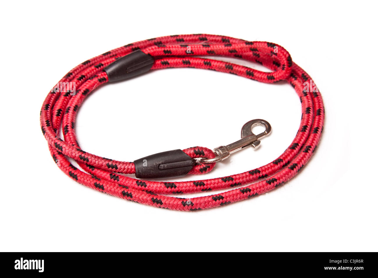 Dog Lead isolated on a white studio background Stock Photo - Alamy