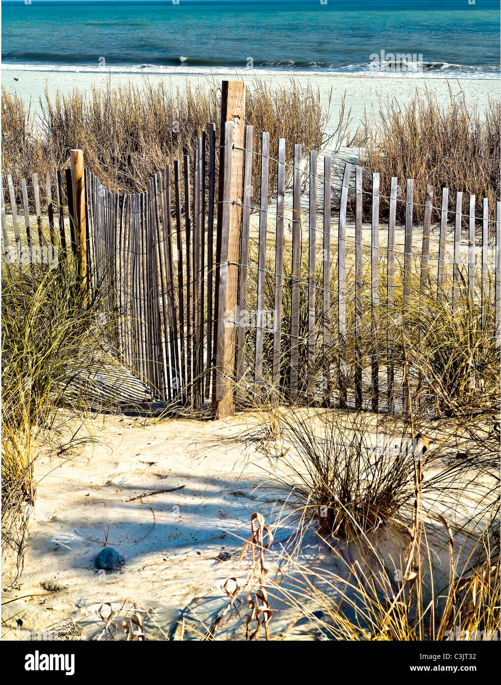 Sand dunes and dune fencing. chriskirkphotography.net Stock Photo