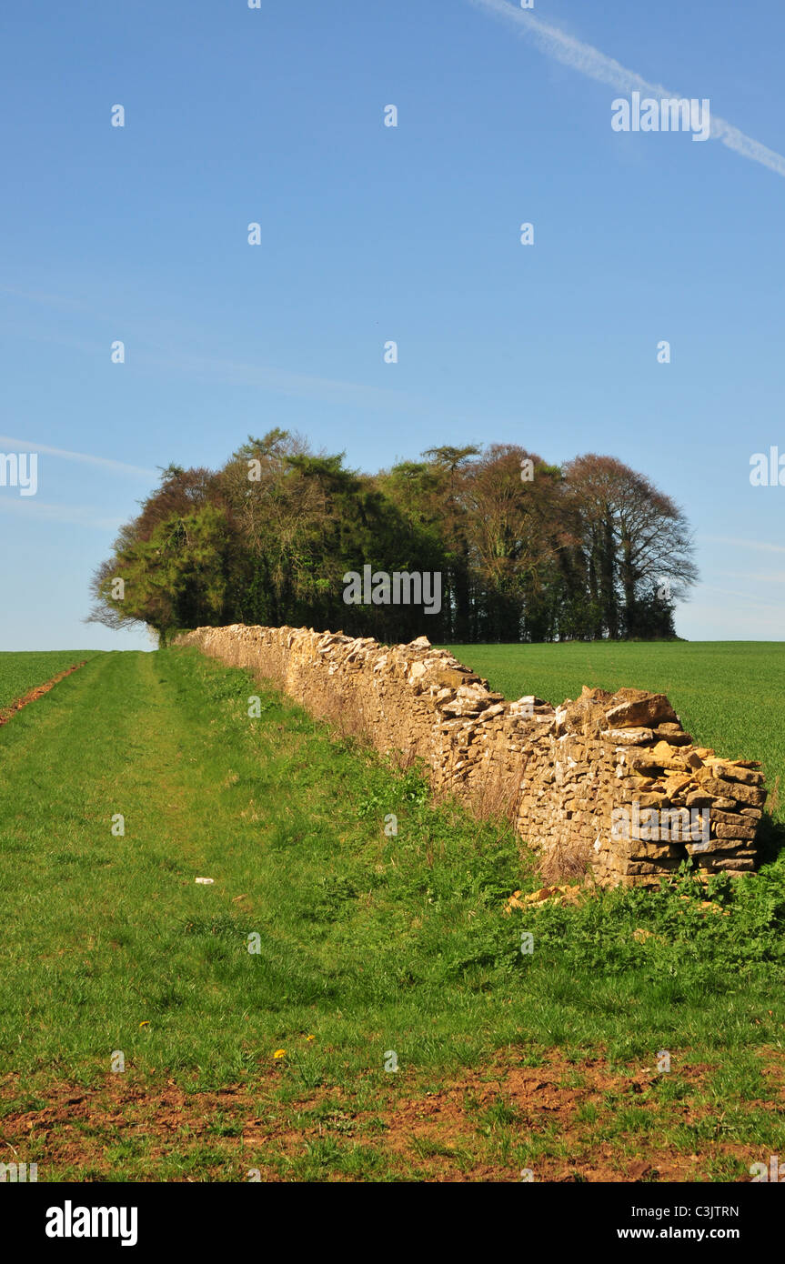 Dry stone wall in fields near Lower Slaughter, Gloucestershire Stock Photo